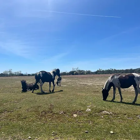 Appartement Mar De Nubes Con Bano Entre El Valle Del Jerte Y La Vera