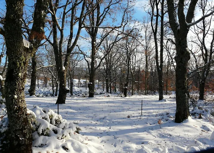 Mar De Nubes Habitación Con Baño Entre El Valle Del Jerte Y La Vera Apartamento