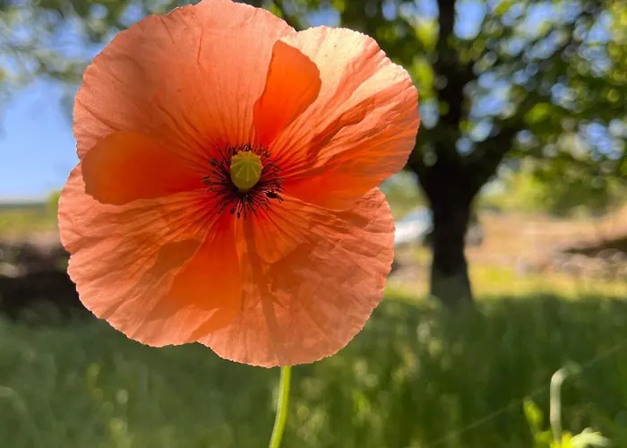 Mar De Nubes Habitación Con Baño Entre El Valle Del Jerte Y La Vera *